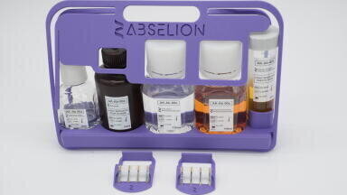 Rapid IgG subclass quantification kit