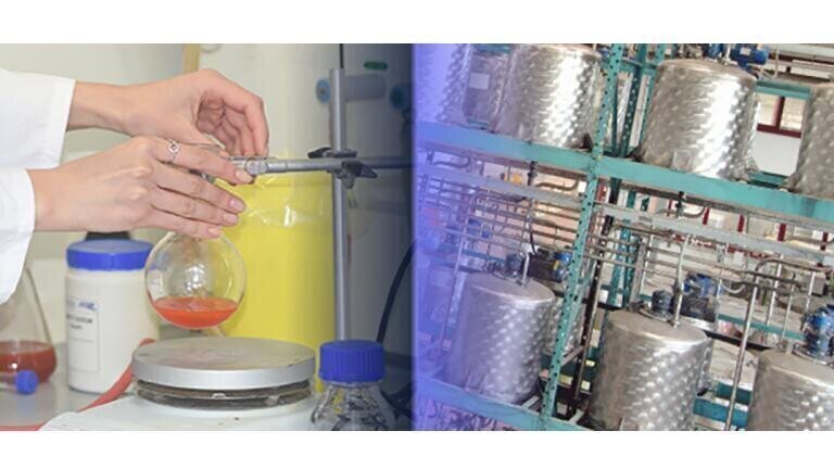 Redefining Pharmaceutical R&D Through AI and Digitalization
