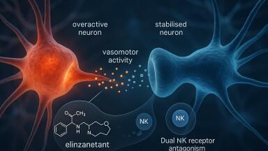 FDA approves elinzanetant following UK’s MHRA first-in-world marketing authorisation