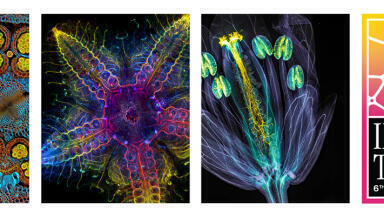Sixth annual image of the year contest opens