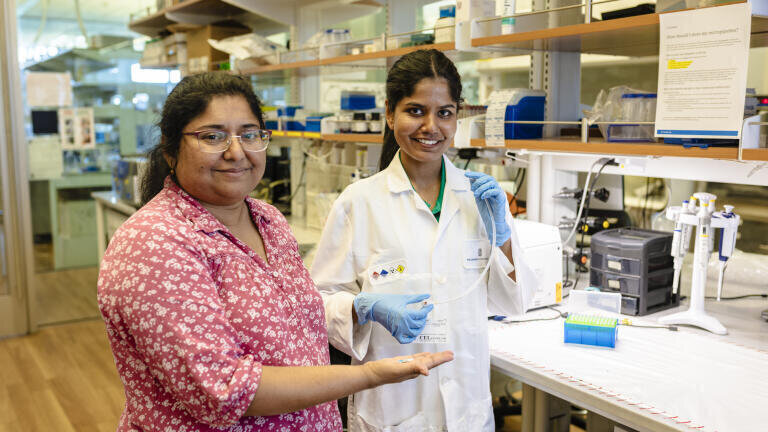 Dr. Shalini Prasad (left) and biomedical engineering doctoral student Nikini Subawickrama show off the electrochemical sensor technology that could lead to a new tool for detecting various thoracic cancers. Credit: University of Texas at Dallas