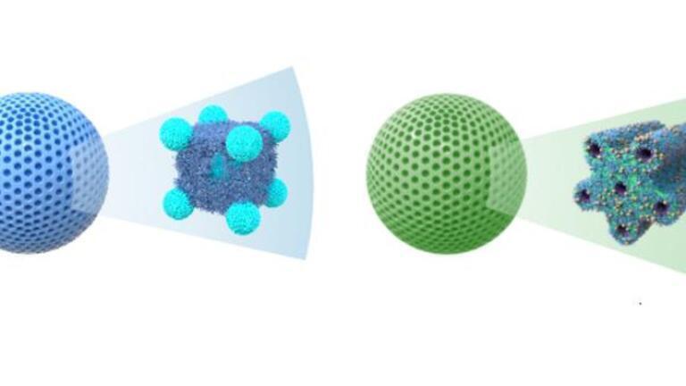 Schematic of lipid nanoparticles with internal structures. Credit: Dr Shiyao Li