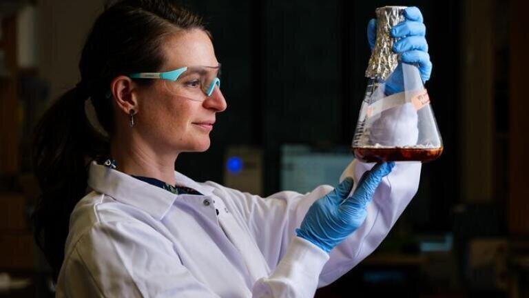 Tess Eidem holds up a jar of fungus used to generate allergens for research. Credit: Patrick Campbell/CU Boulder