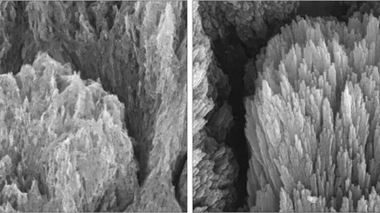 Electron microscopy images of a tooth with demineralised enamel showing eroded apatite crystals (left) and a similar demineralised tooth after a 2-week treatment showing epitaxially regenerated enamel crystals (right). Credit: University of Nottingham