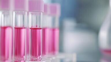 New acquisition strengthens downstream processing capabilities 