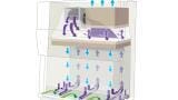 10 Tips for Working Safely in the Laboratory with Your Biosafety Cabinet