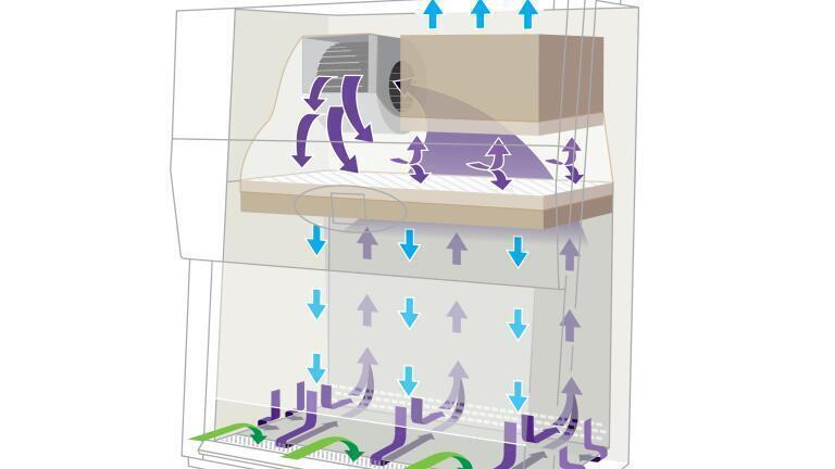 10 Tips for Working Safely in the Laboratory with Your Biosafety Cabinet