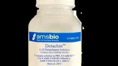 Fast and gentle detachment of delicate adherent cells