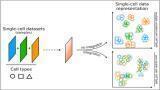 Machine learning untangles complex single-cell data