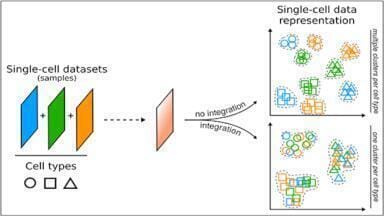 Machine learning untangles complex single-cell data