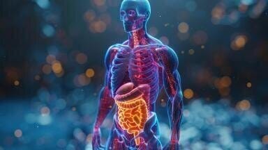 Stroke triggers gut immune changes and microbiome shifts, study finds