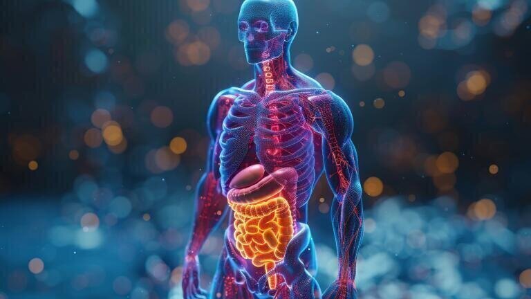Stroke triggers gut immune changes and microbiome shifts, study finds