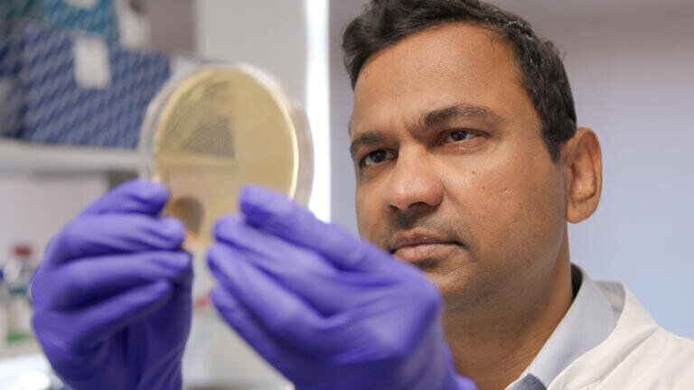 Patil says the study has provided the data to predict the effects of new chemicals, with the aim of moving to a future where new chemicals are safe by design. Credit: Jonathan Settle/University of Cambridge