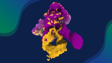 Molecular film of self-splicing ribozyme reveals RNA folding for drug discovery