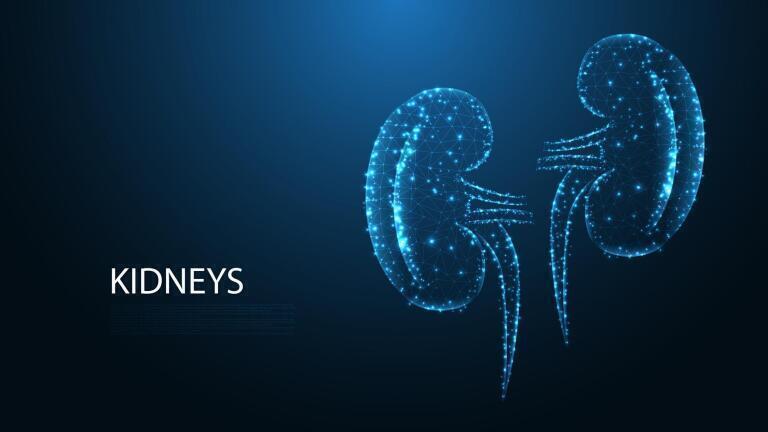 Finerenone may transform care for diabetic kidney disease. Credit: National Taiwan University