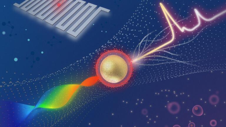 Researchers developed a sensitive Raman imaging system that can detect very faint signals from SERS nanoparticles that bind to tumour markers. Credit: Zhen Qiu, Michigan State University