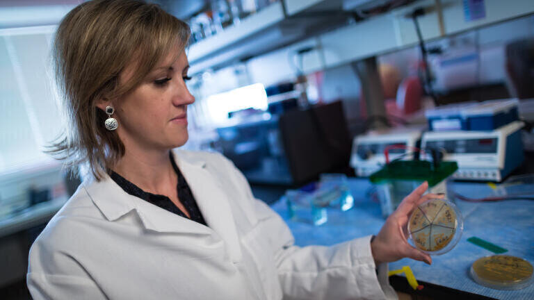 Dr. June Round in her laboratory. Credit: Charlie Ehlert / UofU Health
