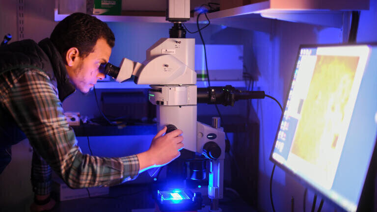 Dr. Osama Harraz, assistant professor of pharmacology at Larner College of Medicine, looks at brain vasculature through a widefield fluorescence microscope in his laboratory at the University of Vermont. Credit: David Seaver