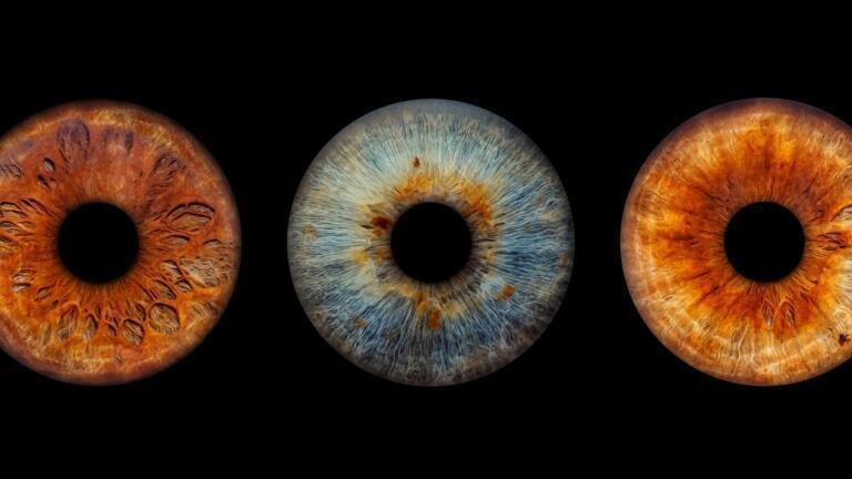 Retinal organoids illustration.
