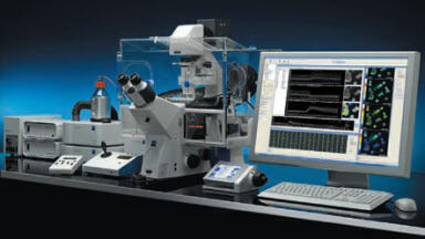 Real-time Measurement of Physiological Parameters in Living Cells
