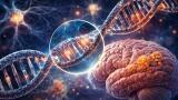 Vast majority of Alzheimer’s cases linked to APOE gene variants: large study