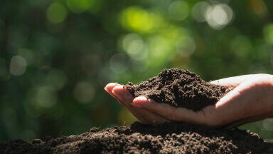 Soil analysis with NIR spectroscopy