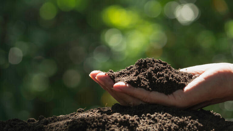 Soil analysis with NIR spectroscopy