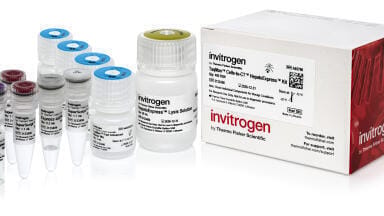 New kit streamlines liver cell gene expression for faster drug discovery