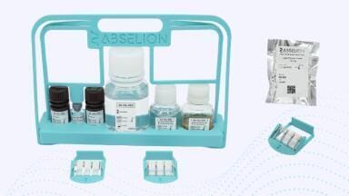 His-tagged protein quantification kit for proteomics workflows