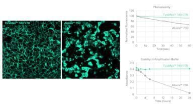 Sharper, brighter dyes for spatial imaging