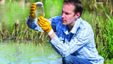 HPLC standards for precise food and water analysis