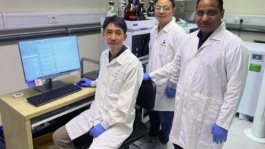 Phage DNA sugar modifications reveal fresh routes to combat AMR bacteria