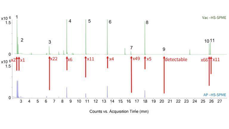 Chromatogram for AP-HS-SPME (bottom) and Vac-HS-SPME (top)