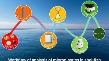 Quantitative analysis of microplastics in shellfish using pyrolysis GCMS