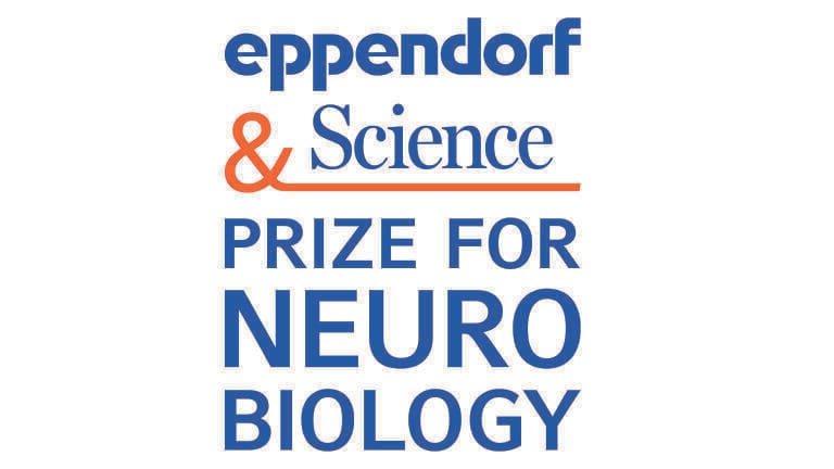 Calling young neuroscientists: Eppendorf & Science Prize for Neurobiology 2026