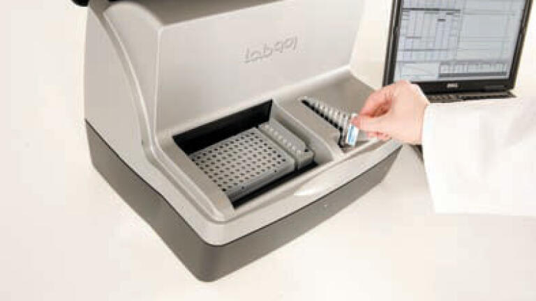 Rapid Protein Electrophoresis and Analysis