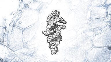 Tiny self-replicating RNA offers clues to life’s origins