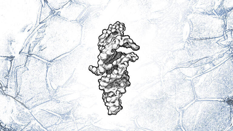 Tiny self-replicating RNA offers clues to life’s origins