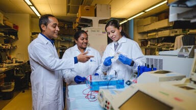 Gut metabolite hippuric acid turns up the volume on immunity