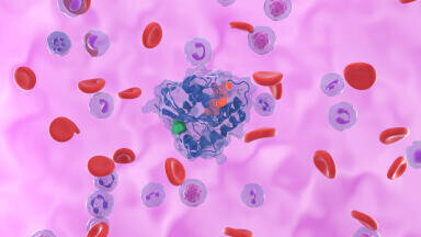 New combination therapy tackles resistant KRAS lung cancer