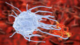 TB hijacks the body’s own defences to thrive
