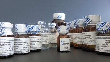 New Worthington animal free bioprocessing enzymes & collagenase sampling program