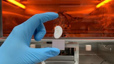 Laboratory-grown elastic ear cartilage moves closer to clinical reality