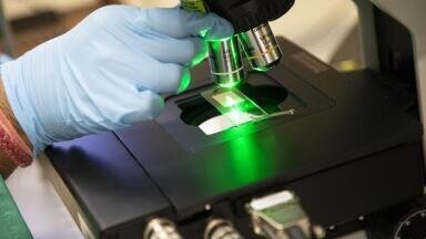 Raman spectroscopy verifies mRNA encapsulation in lipid nanoparticles