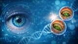 Acquisition strengthens ophthalmology portfolio