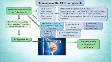 Nano-encapsulated curcumin shows promise in triple-negative breast cancer