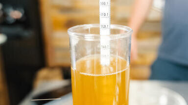 Free ABV testing by GC for breweries considering in-house analysis