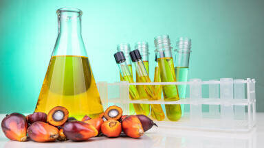 Screening and quality control of palm oil with NIR spectroscopy