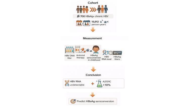 New biomarkers point to potential HBV cure: Circulating RNA offers fresh insights