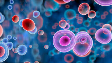 Dual-vaccine approach shows promise against T cell lymphoma